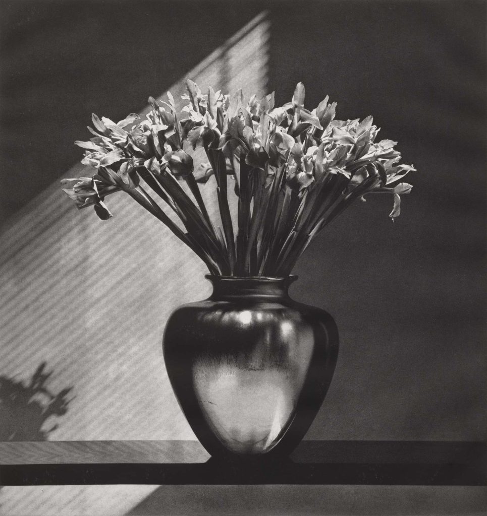 Robert Mapplethorpe Irises, 1982