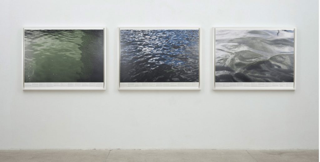 Roni Horn Still Water, 1999